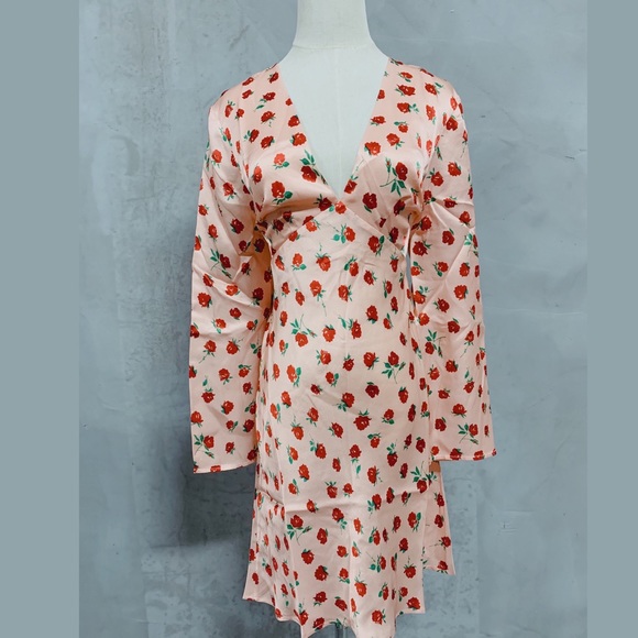 RIXO SOPHIE VINTAGE ROSE NUDE RED Mini Dress
Sz L - Picture 3 of 7